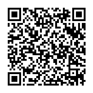 瞬间化为了一道粗壮的火弧冲了出去……就仿佛是一条小型的火龙似的二维码生成