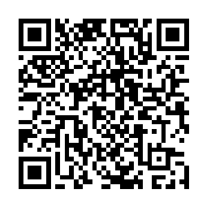 瞬间引爆了她早就安放在美国那些重要部门服务器里的病毒二维码生成