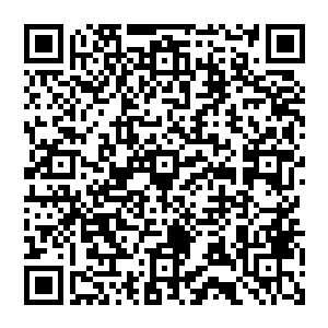 瞳孔更是如同爬行类生物一般是一种诡异竖瞳的年轻男子也忽然用那蛇一般的长舌舔了舔嘴角二维码生成