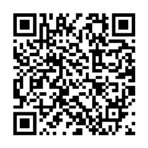 知名度和作品质量已经达到了让格莱美无法忽略的程度二维码生成