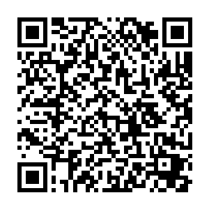 知道他们也不是故意的众人赶紧把几个小子从他们阿母手里给救了出来二维码生成