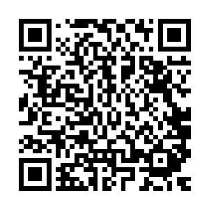 知道他肯定不会对乔乔有什么特殊的感情――如果不是这样的话二维码生成
