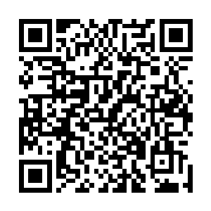 知道太古焚龙一族和残翼蛇龙一族恩怨的龙族俊才不在少数二维码生成