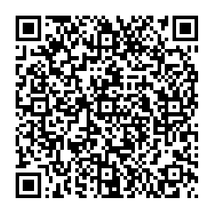 知道恐怕星皇已经隐隐约约猜到了自己的身份――当初请红蓝双魔在碎星海击杀天方城龙皇神殿一行的二维码生成