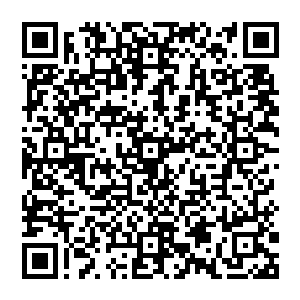 知道这个世界的一切其实都是开发组创造的事实之后……我们还会再信奉什么这个世界的神么二维码生成