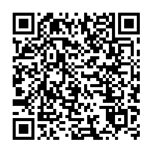 矩阵文化这类公司绝对不会开出与他们清新文化公司的条件去吸引苏文二维码生成