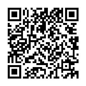 短短一两百年的时间跨越了大多数修士一辈子都无法跨上的台阶二维码生成