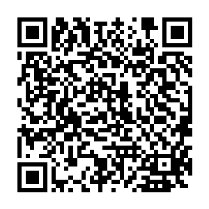 短短两个小时时间便占据了文学分类热搜top榜冠军……真他妈见鬼了二维码生成