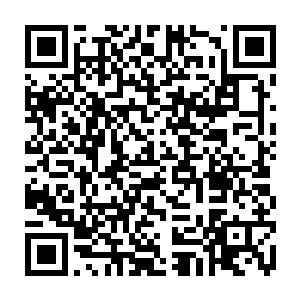 短短几秒钟的画面以病毒传播的方式飞快在帝国灵网的各个节点之间飞快扩散二维码生成