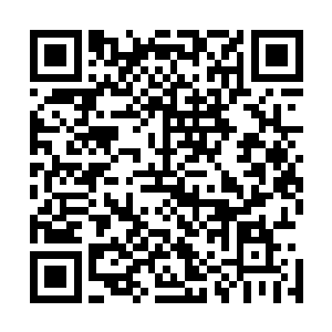 短短十几年的时间便从一个乞丐变成了太行宗内门第一弟子二维码生成