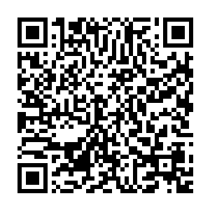 短短的数十秒的时间竟然将这方圆数千米的数十万亡灵彻底的烟消云散二维码生成