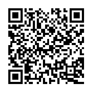 矮人族肯定是下了禁制的……而且还是非常可怕的禁制二维码生成