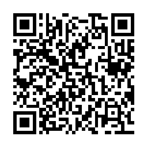 石中信家的老管家过来的时候却满满当当的带了十好几车的东西二维码生成