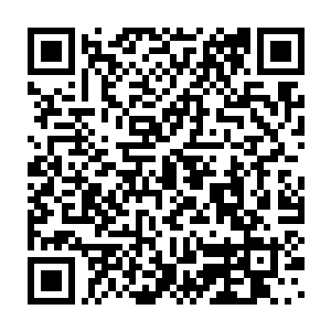 石原这边自然是不知道的……傅清林和傅总管距离他们实在是太远了二维码生成