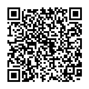 石桌的材质看上去竟然和先前守护洞府的那扇非常坚固的石门有几分相似二维码生成