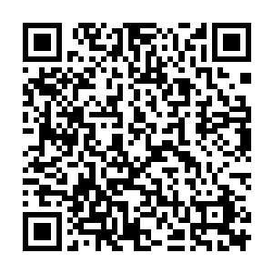破坏这些禁令最多的还就是五大家族的人……比如眼前被秦方击毙的杨九二维码生成