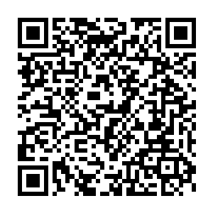 砸向肥硕巨汉的黑色巨盾竟然在眨眼间便被那奇门兵器给狠狠砸飞二维码生成