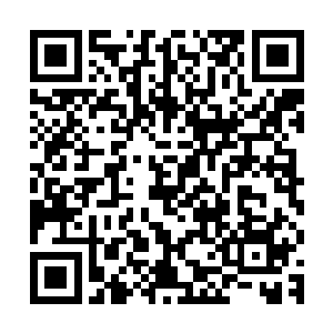 硕大的软鞭如同巨龙摆尾般扫在了许紫烟控制的符箓巨人的身上二维码生成