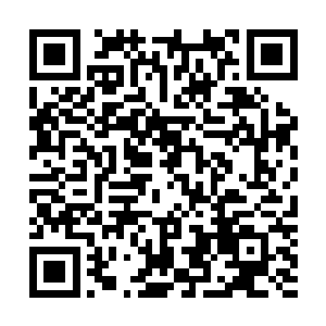 硕大的龙尾狠狠的抽击着地面……不但扬起了一阵阵的碎石二维码生成