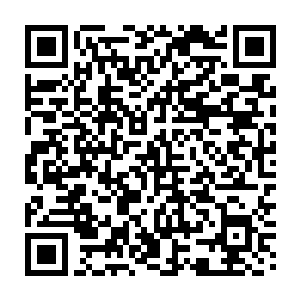 硬是划出三分之一个皇城送给龙英杰作为龙门驻地和龙氏家族新的家主府二维码生成