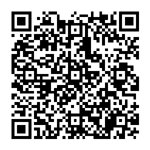 硬是让他变成了后背迎向了那棵树的树干……砰~~小棒子的身体狠狠的撞击在树干上二维码生成