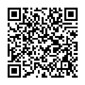 硬生生把一块三百万的翡翠哄抬到六千万卖给沪海的谢东道二维码生成