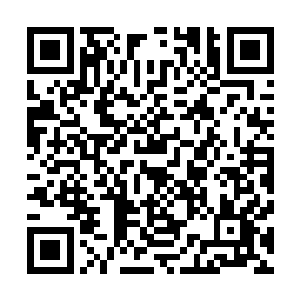 硬生生的挡住了那如山的气势……两股强势强横碰撞中之后二维码生成