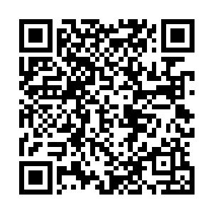 确保司法机构在行使职责时既要严格遵守法律独立行使职权二维码生成