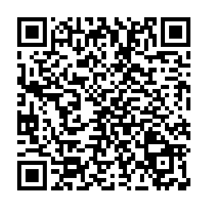 确保民主集中制在涉及我市重大政治经济社会事务决策权得到体现二维码生成
