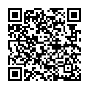 确保自己的采集手法不会给它们造成任何药效上的流逝二维码生成