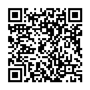 确信消失的他一定会回到这个对他来说曾有过最美好回忆的地方二维码生成