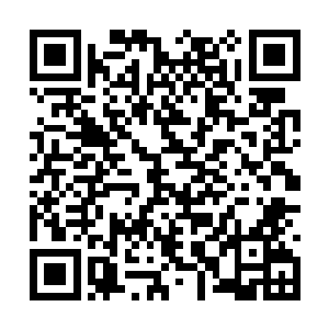 确定一下我们当时的约定确实没有明确以现金支付二维码生成