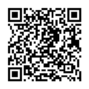 确定几个小混混没有死亡后立即爬云而起消失地无影无踪二维码生成