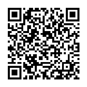 确定自己在此之前并没有见过此刻门外用力推开房门二维码生成