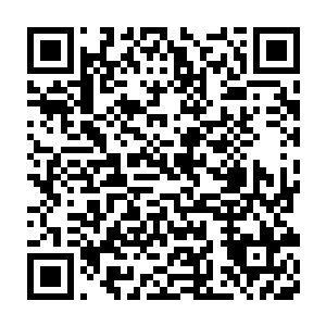 确实也就只有九五之尊班的学生们的衣服与其余学生形成了鲜明的对比二维码生成