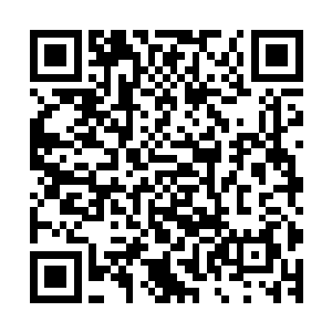 确实可以随意地感知被炼化星辰本源的修炼之星上的风吹草动二维码生成