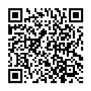 确实如此……我现在都不知道是否该将你介绍给总统领了……哎二维码生成