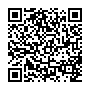 确实没什么地方不对……不过萧先生没亲自诊断过母亲的病情二维码生成