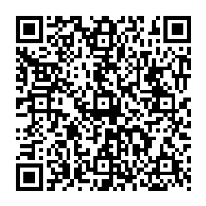 确实看少阳日镜这个多少万年来狗仗人势的家伙很碍眼了……青谨道友治它肯定没问题二维码生成