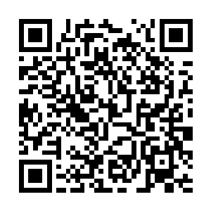 确认导演公会对网络放映及推广的剧集节目有审批权二维码生成