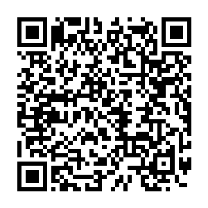 确认这辆车不会爆炸的年轻人还是把最好的求生机会留给了巴克老爷二维码生成
