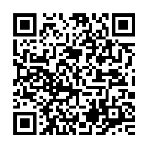 确这种秘法当年血脉被那对母女下了套估计也被们用了这样秘法二维码生成