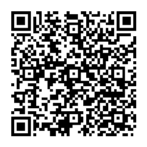 碧海和投奔烈焰佣兵团的五名圣王强者皆是目不转睛的盯着正越变越坚硬的新雕像二维码生成