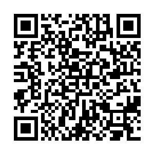碰到劳动局的几位同志在散发关于养老保险政策的宣传单二维码生成