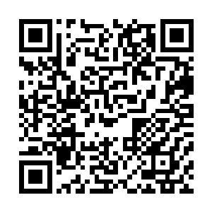 礼节还是不能丢的――虽然她确实很讨厌跟在洪大力的身边二维码生成