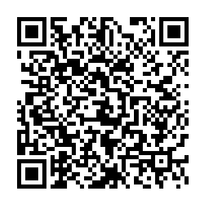 社会不正是靠这样的道德准则和法律条款平稳健康的向前推动的吗二维码生成