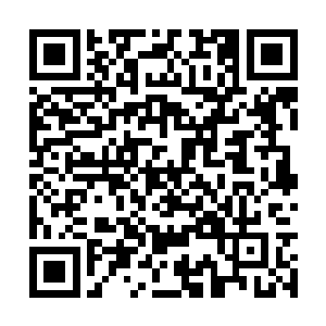 神剑仙门的剑仙们都是用了单独的长距离传送法术二维码生成