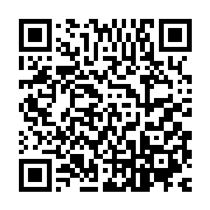 神州政府不排除使用武力来捍卫国家的领土完整以及国家的尊严二维码生成