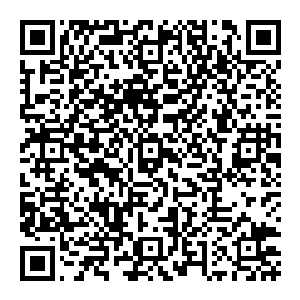 神州股民赚的盆满钵满 而因为肯蒂家族单方面终止合同而停止的国防建设 也因为一些其他公司的进入 开始快速的恢复着二维码生成