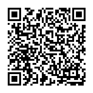 神梦是三十三天种族高手中唯一一个在时间结界的修炼中突破上位真神的二维码生成